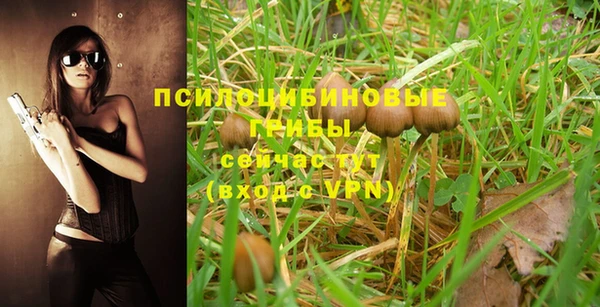 mix Абаза