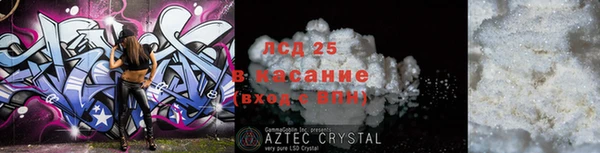 индика Алексин